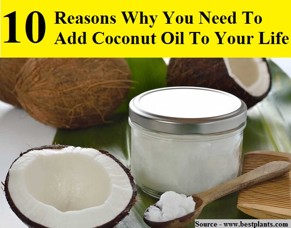 10 Reasons Why You Need To Add Coconut Oil To Your Life
