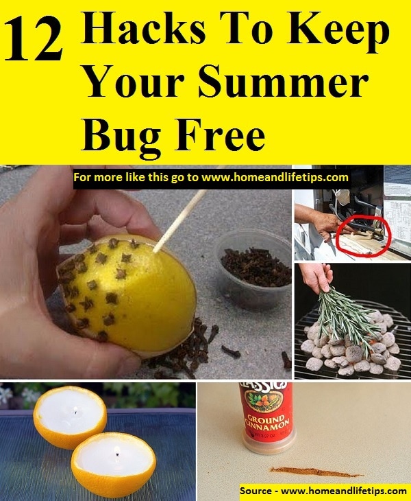 12 Hacks To Keep Your Summer Bug Free