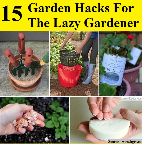 15 Garden Hacks For The Lazy Gardener