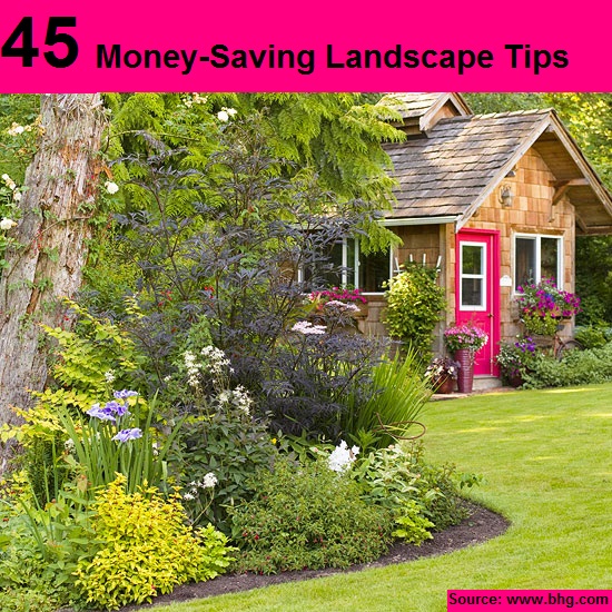 45 Money-Saving Landscape Tips