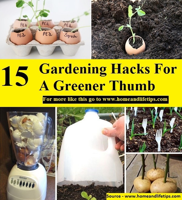 15 Gardening Hacks For A Greener Thumb