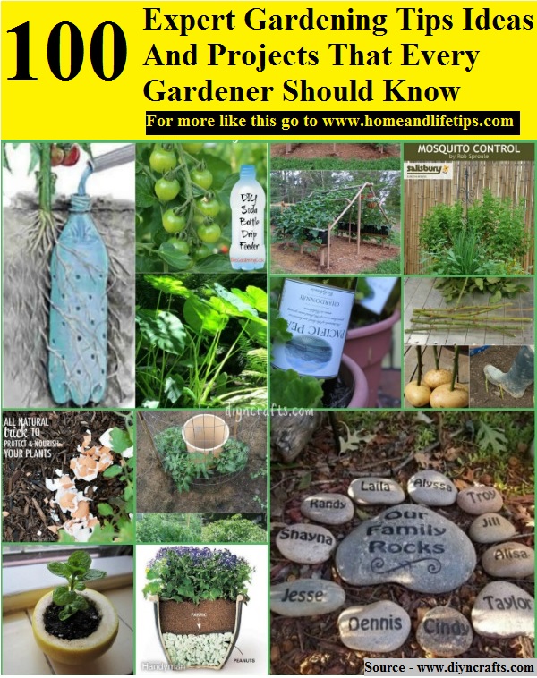 100 Expert Gardening Tips Ideas And Projects That Every Gardener Should Know