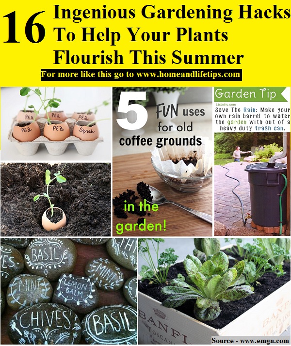 16 Ingenious Gardening Hacks To Help Your Plants Flourish This Summer