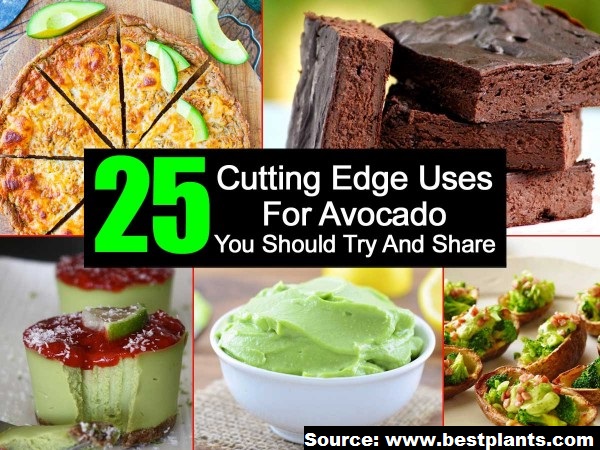 25 Cutting Edge Uses for Avocado