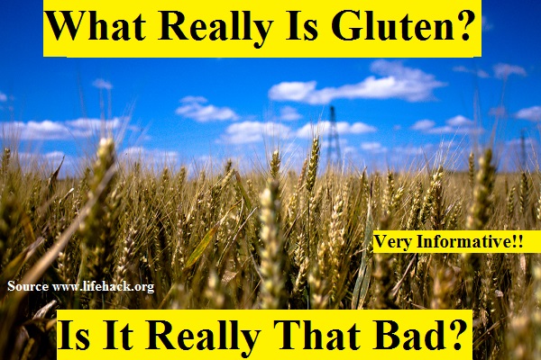 What Really Is Gluten