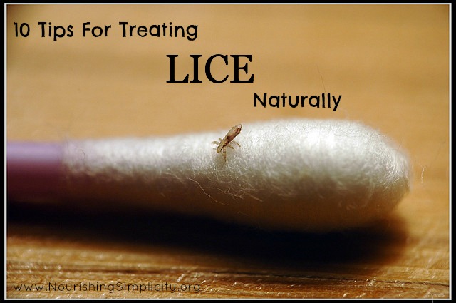 10 Tips To Get Rid Of Lice Naturally