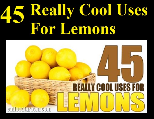 45 Really Cool Uses For Lemons