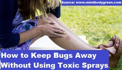 How to Keep Bugs Away Without Using Toxic Sprays