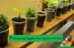 9 Gardening Supplies You Can Get For Free