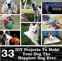 33 DIY Projects to Make Your Dog the Happiest Dog Ever