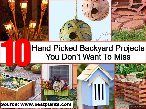 10 Hand Picked Backyard Projects You Don’t Want To Miss