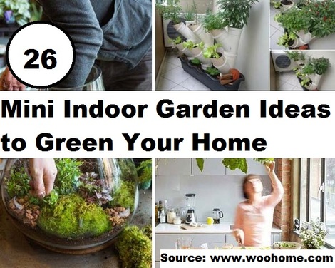 26 Mini Indoor Garden Ideas to Green Your Home