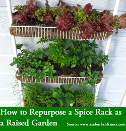 How to Repurpose a Spice Rack as a Raised Garden