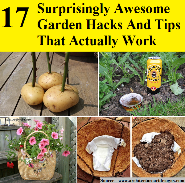 17 Surprisingly Awesome Garden Hacks And Tips That Actually Work