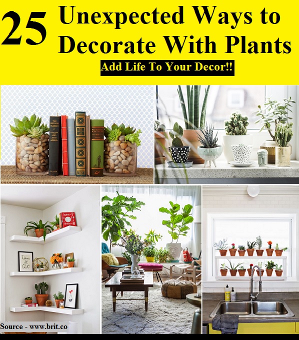 25 Unexpected Ways To Decorate With Plants