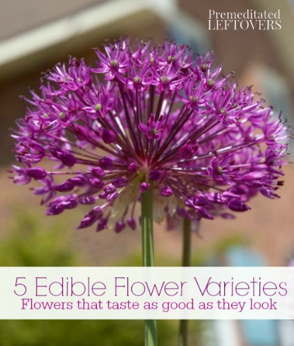 5 Edible Flower Varieties