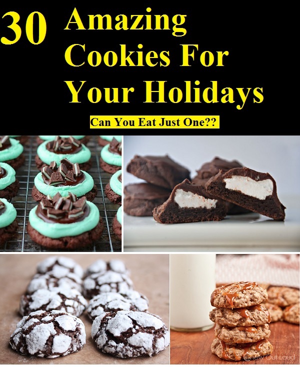30 Amazing Cookies For Your Holidays