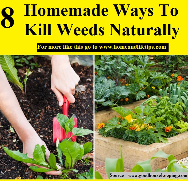 8 Homemade Ways To Kill Weeds Naturally