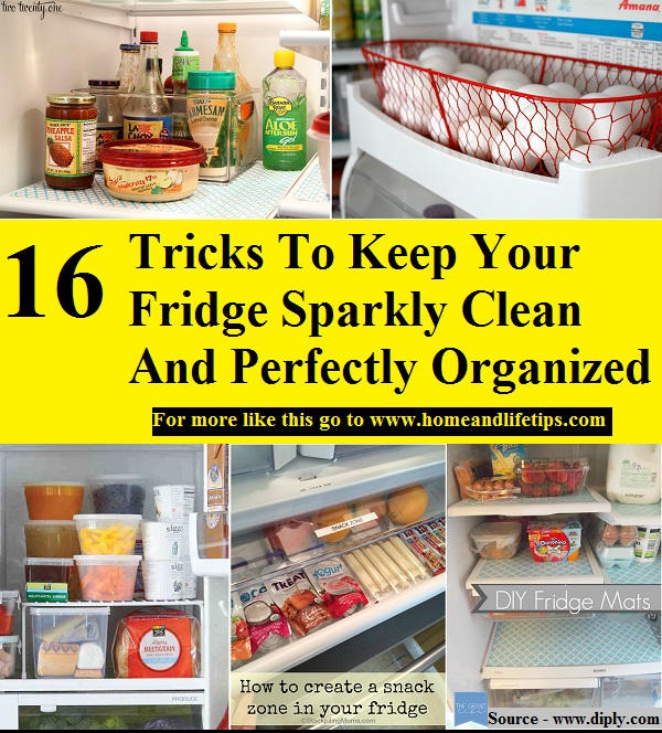 16 Tricks To Keep Your Fridge Sparkly Clean And Perfectly Organized