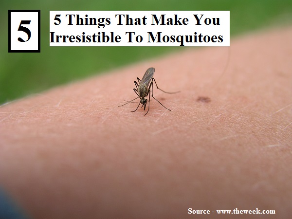 5 Things That Make You Irresistible To Mosquitoes