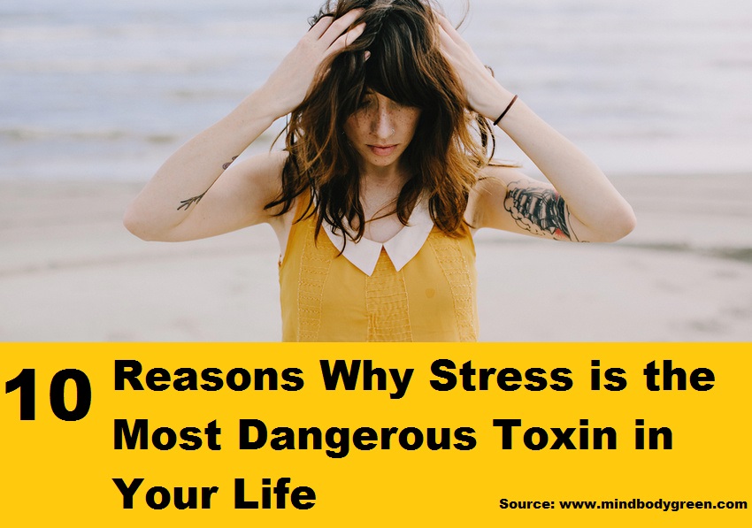 10 Reasons Why Stress is the Most Dangerous Toxin In Your Life