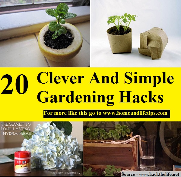 20 Clever And Simple Gardening Hacks