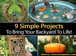 9 Simple Projects To Bring Your Backyard To Life