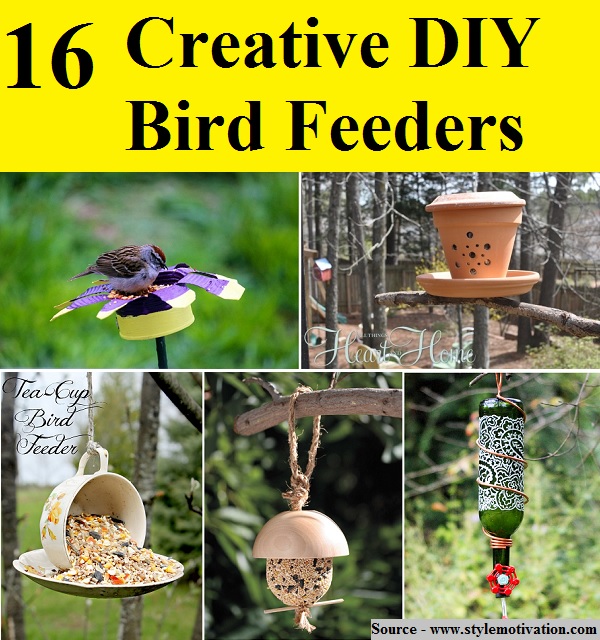 16 Creative DIY Bird Feeders