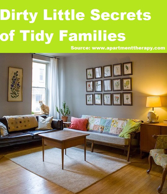 Dirty Little Secrets of Tidy Families