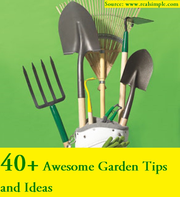 40 Awesome Garden Tips and Ideas