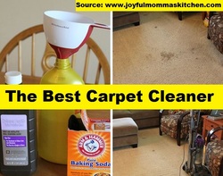 The Best Carpet Cleaner