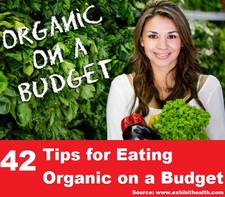 42 Tips for Eating Organic on a Budget