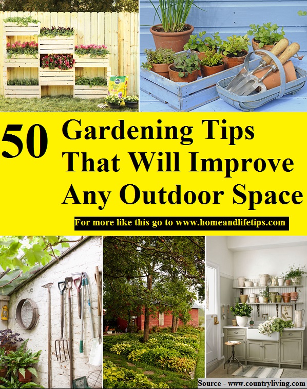 50 Gardening Tips That Will Improve Any Outdoor Space