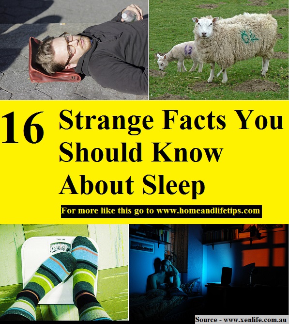 16 Strange Facts You Should Know About Sleep
