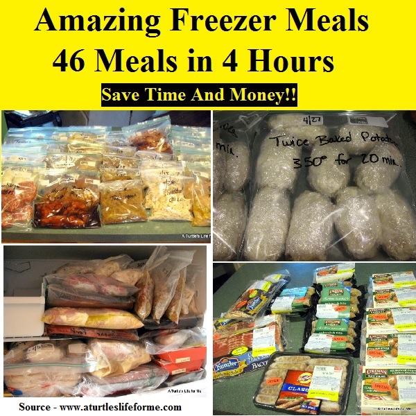 Amazing Freezer Meals 46 Meals In 4 Hours
