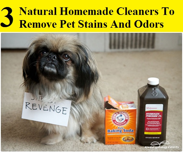 3 Natural Homemade Cleaners To Remove Pet Stains And Odors
