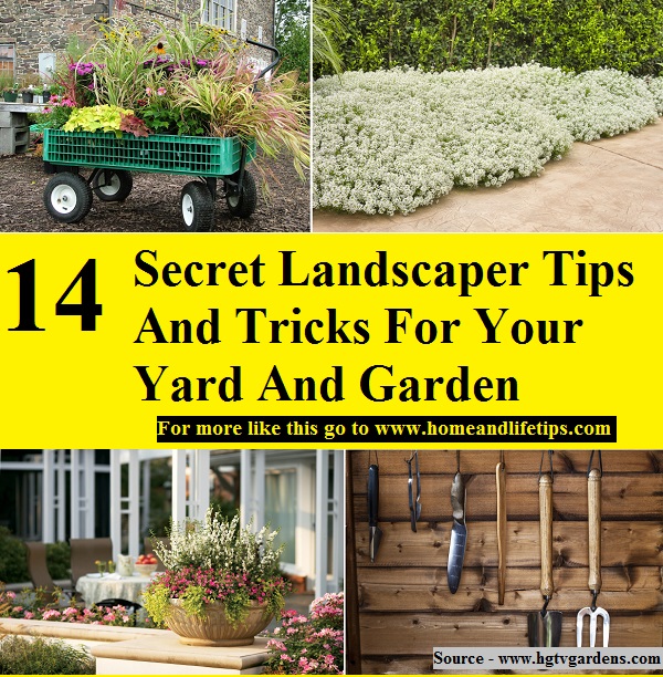 14 SECRET LANDSCAPER TIPS AND TRICKS FOR YOUR YARD AND GARDEN