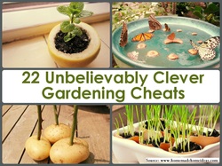 22 Unbelievably Clever Gardening Cheats