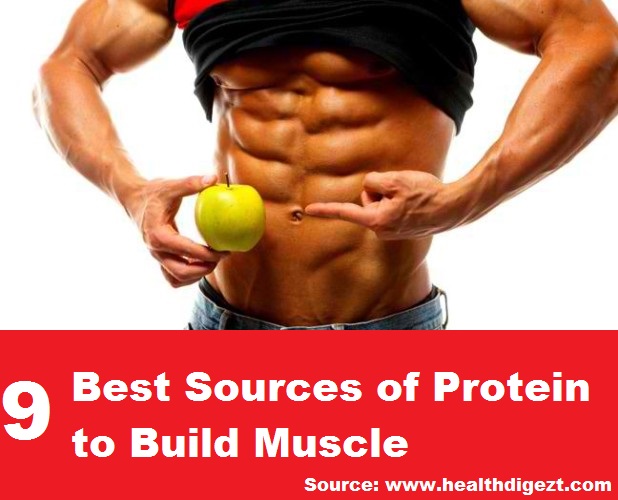 9 Best Sources of Protein to Build Muscles