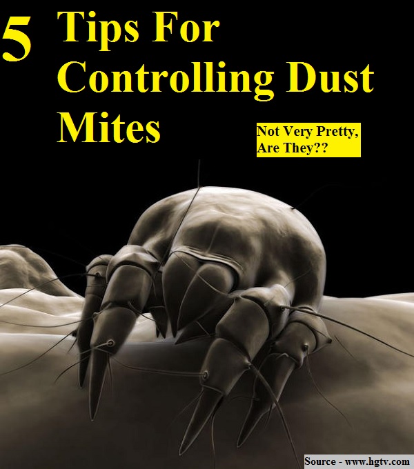 5 Tips For Controlling Dust Mites