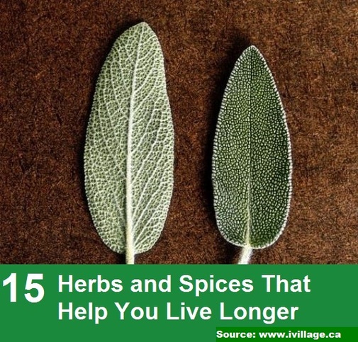 15 Herbs and Spices That Help You Live Longer 