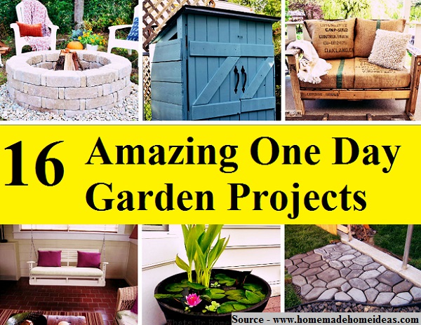 16 Amazing One Day Garden Projects