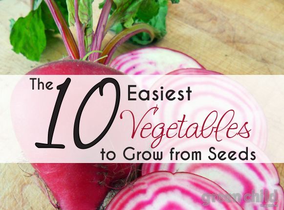 The 10 Easiest Vegetables to Grow from Seeds