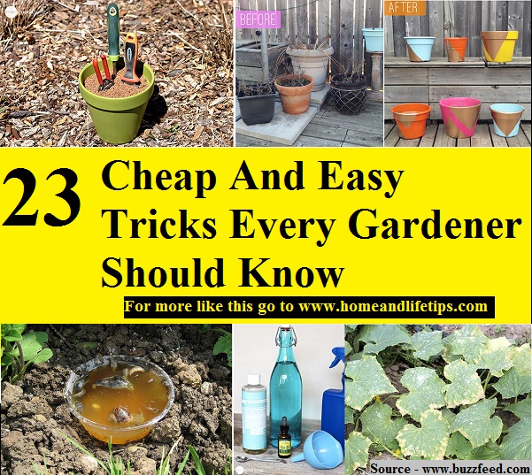 23 Cheap And Easy Tricks Every Gardener Should Know
